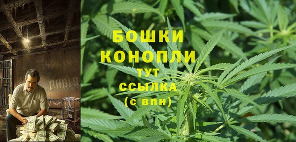 ПСИЛОЦИБИНОВЫЕ ГРИБЫ Абаза