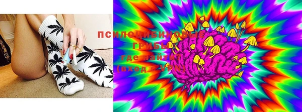 прущая мука Алзамай