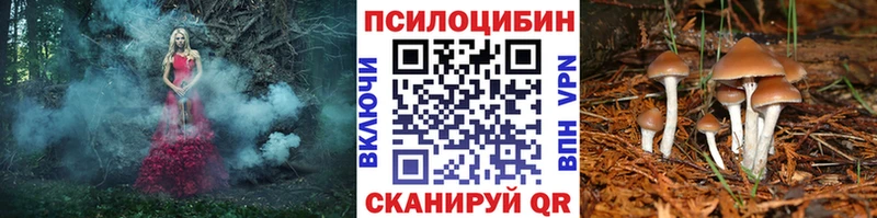 Псилоцибиновые грибы Magic Shrooms  гидра вход  Котлас 